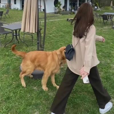 继承之战第四季